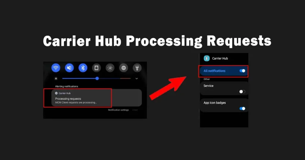 What is Carrier Hub? How to Fix Processing Requests?